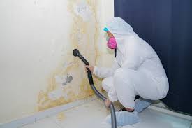 Mold Odor Removal Services in Franklinville, NC